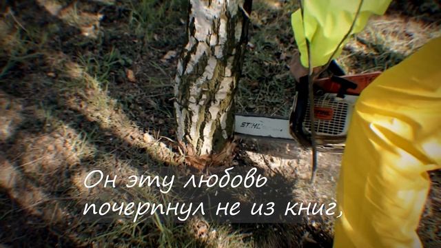 Роберт Рождественский "По-своему" читает Владимир Соколов Лучшие стихи смотреть онлайн