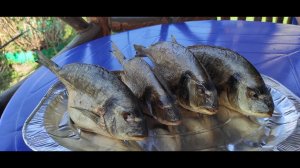 Как правильно закоптить рыбу.Рыба горячего копчения. Дорадо горячего копчения.