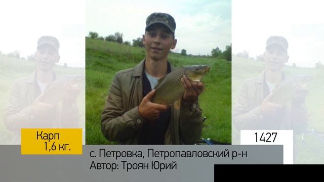 Фотоальбом - Рыбалка №285 смотреть онлайн