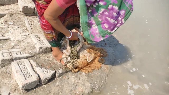 Amazing Cast Net Fishing in River | Net Fishing | Catching by Net in The River Water смотреть онлайн