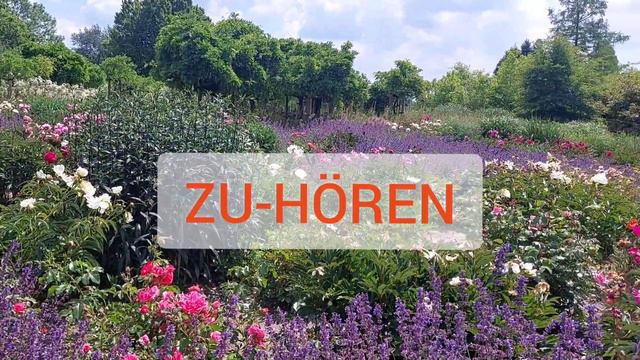 Слушать и слышать. Zuhören und hören. смотреть онлайн