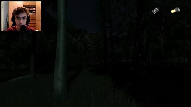 The Secret of Pineview Forest | FULL GAME Playthrough смотреть онлайн
