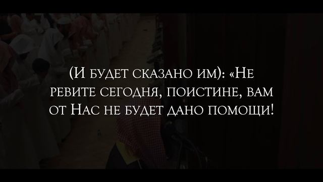 Чтец Мухаммад Аль-Люхайдан. Коран. Сура Аль «Муминун» Верующие