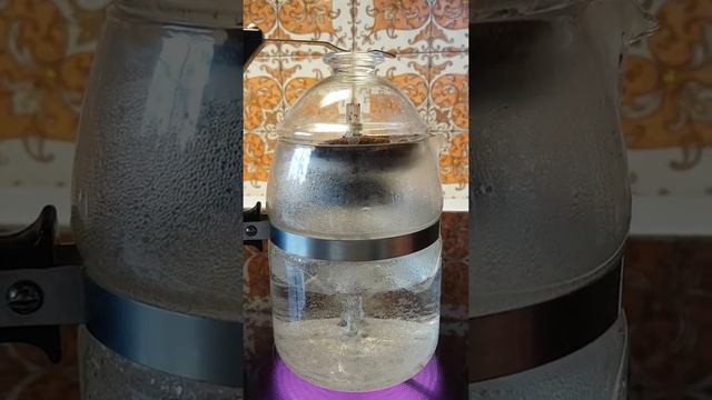 Nife kaffekokare / glasperkulator смотреть онлайн