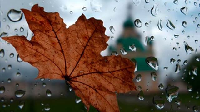 Честнейшую Херувим смотреть онлайн