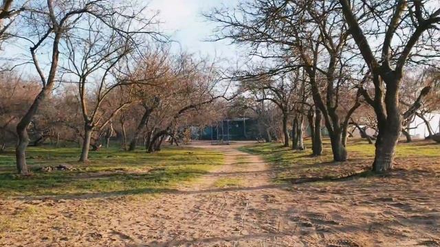 Мы приехалиина море. Зимнее море в Одессе. Репетиция перед Рождеством!20.12.19 г. смотреть онлайн