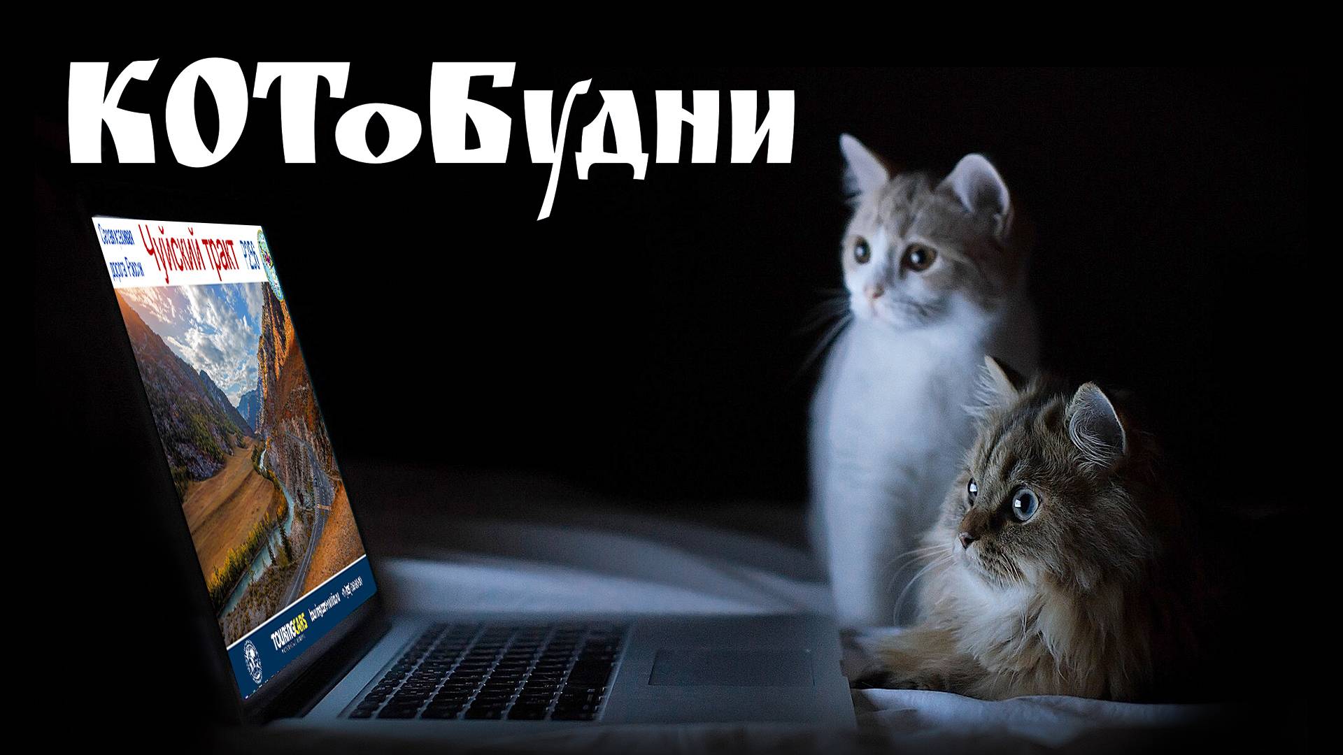 Сумасшедшие КОТоБудни в преддверии большого путешествия на Алтай смотреть онлайн