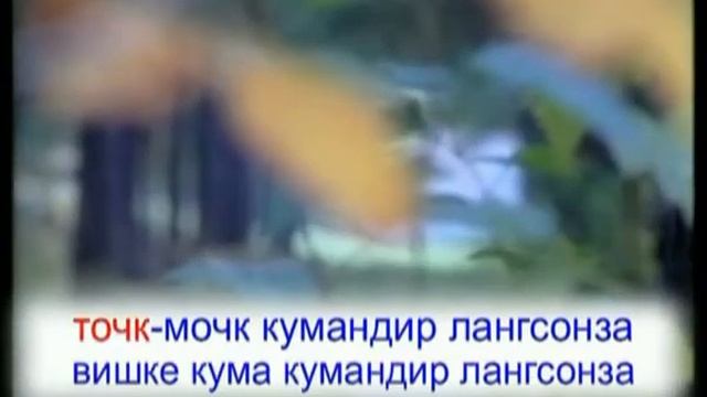 «Луганяса келунясь» - мокшень мора. Караоке по-мордовски. смотреть онлайн