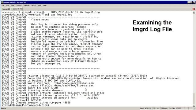 Installing flexlm lmgrd on linux Part II смотреть онлайн