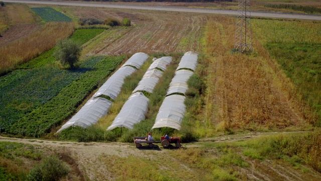 Сербия (Serbia). Документальный фильм (1080p) (2022)