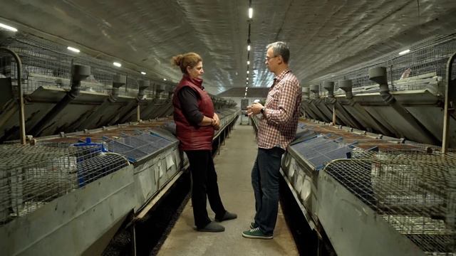 Кавказ накормит. Кролики смотреть онлайн