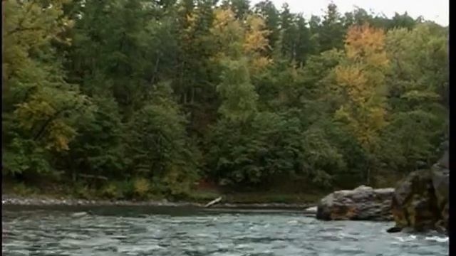 КАМЧАТКА 2006, Экстремальная экспедиция инвалидов. Сплав по рекам. РООИ "Стратегия" смотреть онлайн