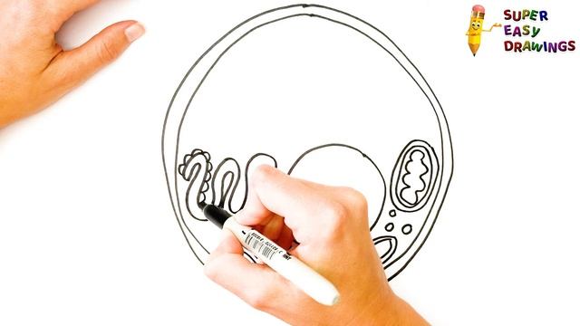 How To Draw An Animal Cell Step By Step ? Animal Cell Drawing Easy смотреть онлайн