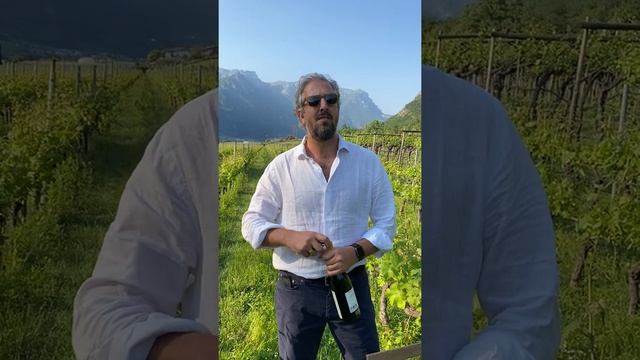 Il Vette di San Leonardo смотреть онлайн