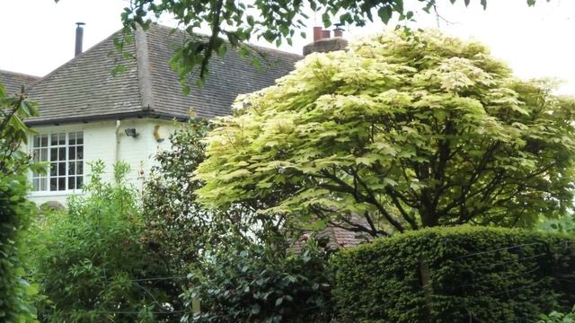 Замуж за рубеж Замуж в Англию смотреть онлайн