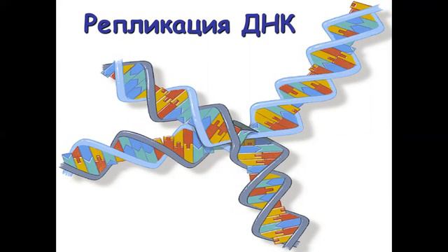 Репликация доц Халиков К М смотреть онлайн