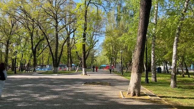 Проголодаешься, корм кошачий ешь! - сказал отец дочери и уехал отдыхать, но когда он вернулся смотреть онлайн