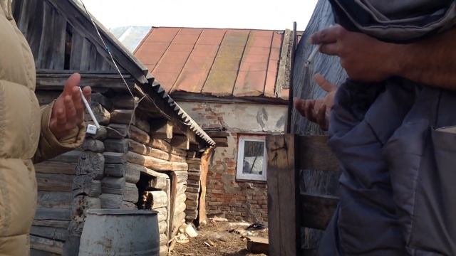 Щенкам отрезали уши на живую смотреть онлайн