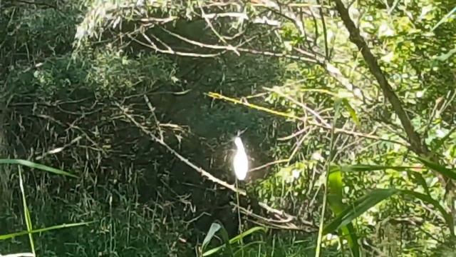 Река Кубань в Краснодаре. смотреть онлайн