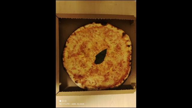 Mi 11 Lite Camera Test | التجربة الكاملة للكاميرات ??