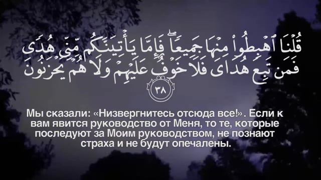 Сура Аль Бакара Красивое Чтение Саид Дубаха смотреть онлайн