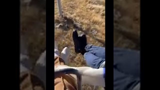 8 ноября 2023 г. смотреть онлайн