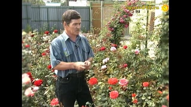 Розарий Ивана Евдокимова смотреть онлайн