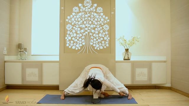 Ashtanga Primary Series for Beginners | Follow Along | SRMD Yoga смотреть онлайн