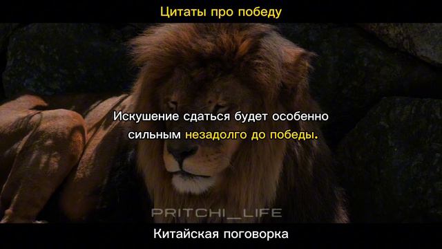 ЦИТАТЫ ПРО ПОБЕДУ, КОТОРЫЕ ПОМОГУТ ТЕБЕ ВЫИГРАТЬ смотреть онлайн