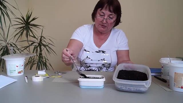 Аниме-Сериалы и Адаптации