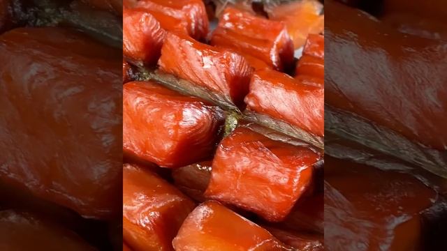 Дикая Природа в Городе