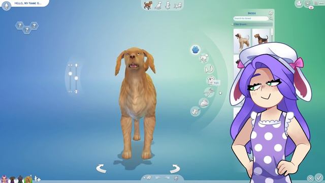 Making My REAL LIFE PETS In The SIMS 4! смотреть онлайн