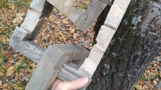 Дракон Скалапендра Квадраты Аномалия уже у нас в лесу смотреть онлайн