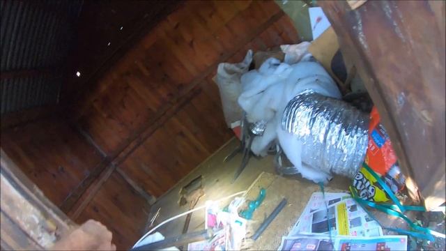 BLACK MAMBA UNDER A WENDY HOUSE!!! смотреть онлайн