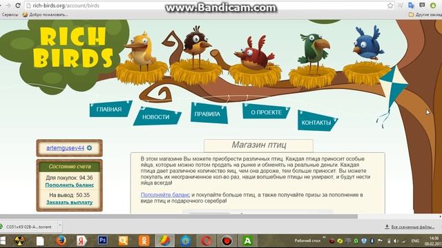 Rich Birds правильная  регистрация,  ошибки  начинающих!  (Рич  бёрдс)