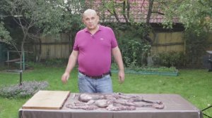 КАК ПРИГОТОВИТЬ ОСЬМИНОГА. ОСЬМИНОГ НА ГРИЛЕ. САЛАТ ИЗ ОСЬМИНОГА