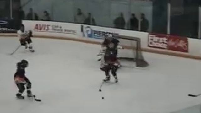 East Hants Penguins 12-01-2007 (C) Roy goal смотреть онлайн