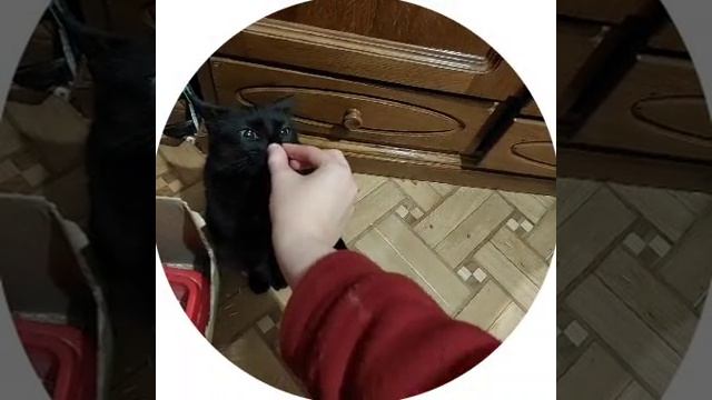 ХВЗАХВ ОТНОШЕНИЯ АЭАЭАХАХ смотреть онлайн