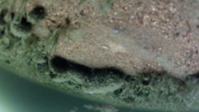 Подледные съемки на озере Таватуй. 26 февраля 2012. смотреть онлайн