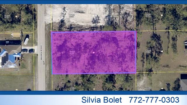 Residential for sale - 1004 Magnolia Avenue, Lehigh Acres, FL 33972 смотреть онлайн