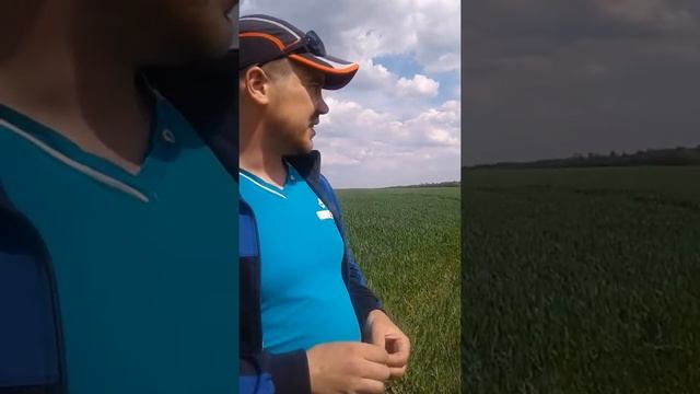 Отзыв агронома 