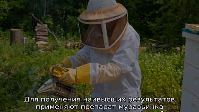 Муравьинка для пчел — инструкция смотреть онлайн