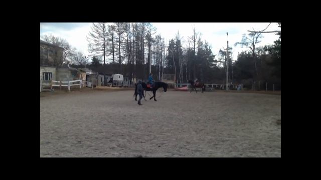 Прогулка верхом! смотреть онлайн