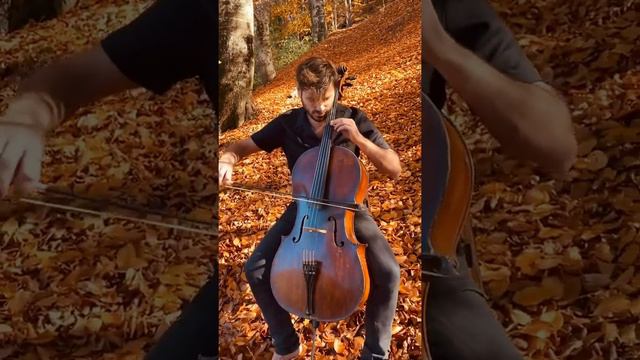 hauser cello смотреть онлайн
