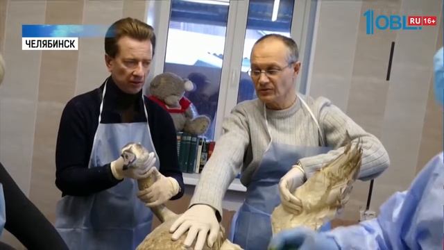 Владимир Бурматов требует наказать охотников за ранение лебедя смотреть онлайн