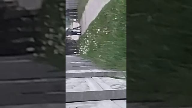 пьяный мужик упал смачно возле забора смотреть онлайн