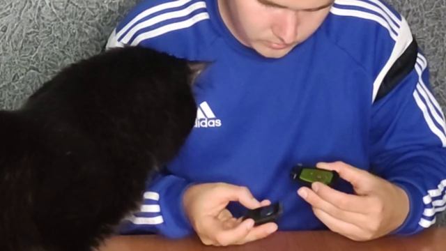 Замена корпуса ключа на Jaguar XF 3.0 238л.с. ЗА 350 РУБ.