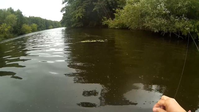 ПСЕЛ. РЫБАЛКА СПЛАВОМ В ХМУРУЮ ПОГОДУ. СУМЫ - КРАСНОЕ. ЛОВЛЯ ГОЛАВЛЯ смотреть онлайн