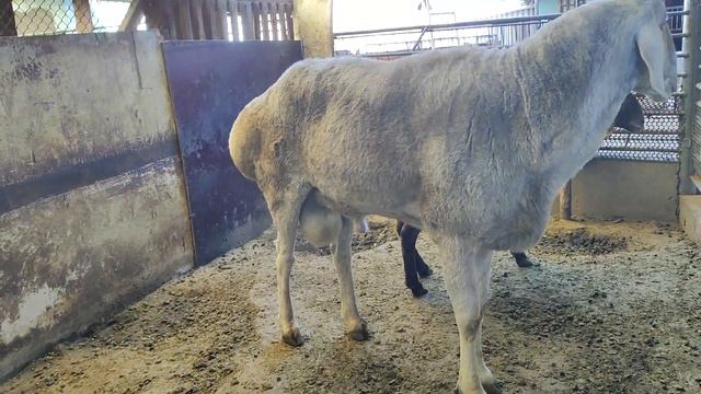 14 октября 2023 г.