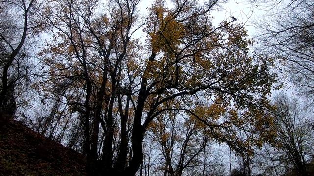 В ПОИСКЕ МЕТАЛЛА ПОД ВОДОЙ  ЖУТКИЕ НАХОДКИ ВОПы, СЕТИ, МЕТАЛЛОКОП Видео 2020